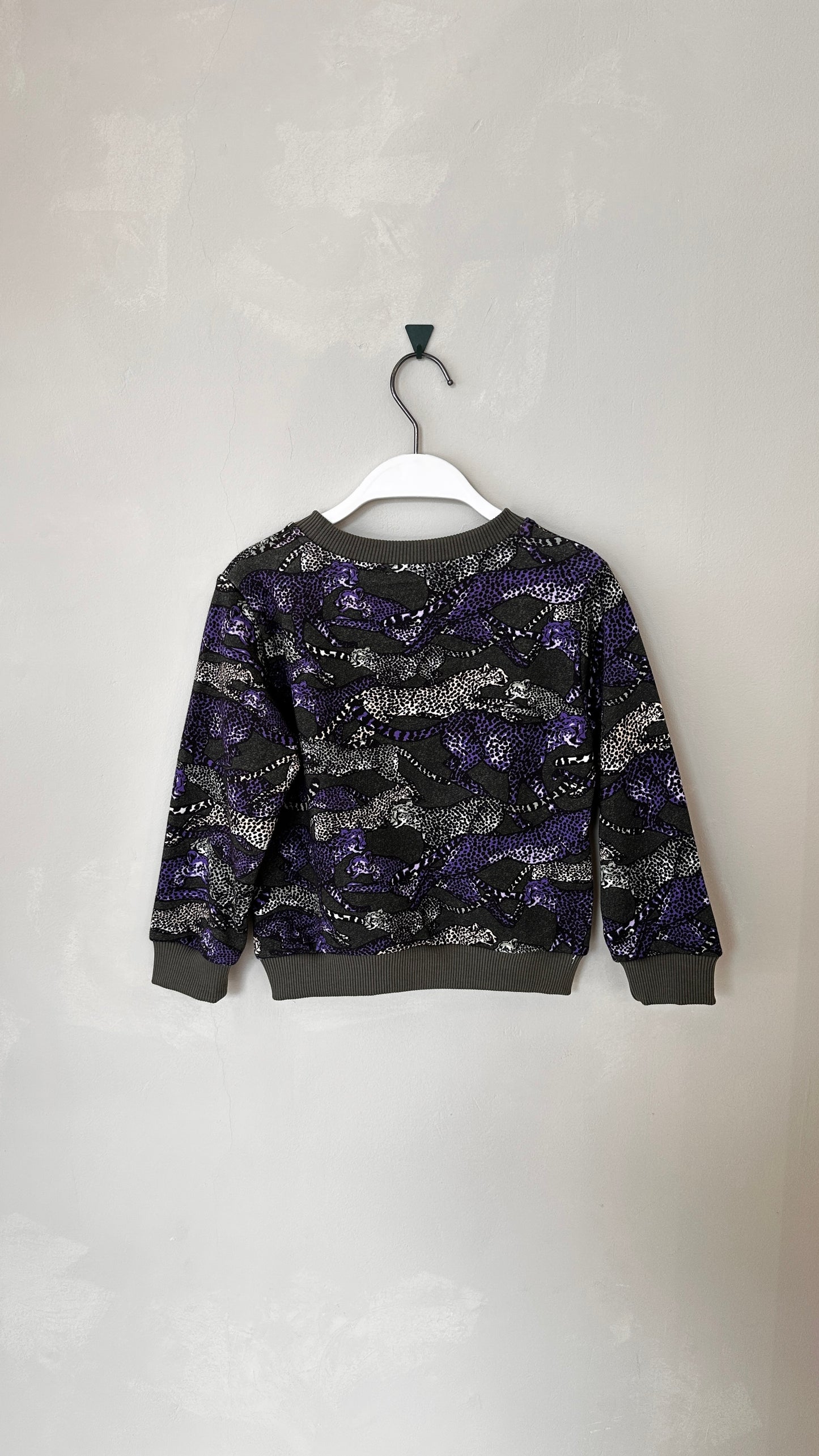 Sweat Shirt À Capuche 'LEO'